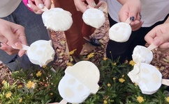 王子变青蛙有字幕